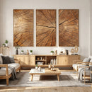Tree Ring Canvas Art, Rustic Wood Grain Wall Art, Tree Slice