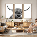 Scottish Highland Cow Cattle Art Print Wall Art Canvas Print