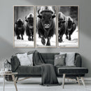 American Bison Art | Buffalo Herd Wall Art Canvas Print, BW