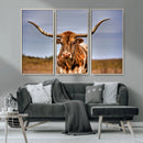 Texas Longhorn Wall Art Print, Framed Longhorn Cow Wall Art
