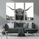 Longhorn Canvas Print, Bighorn Cow Wall Art Canvas Print by MyGreatCanvas | Canvas Wall Art Prints | Photo Prints & Wall Decor