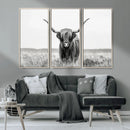 Highland Cow Canvas Wall Art – Majestic Beauty in Black and