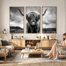 Scottish Cow Wall Art Canvas Print | Longhorn Wall Art |
