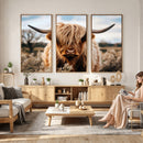 Scottish Cow Longhorn Wall Art Canvas Print