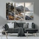 Serene Coastal View of Acadia National Park - Stunning