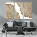 Rustic Brown Tree Ring Wall Art Canvas Print – Framed and