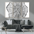 Rustic Tree Ring Wall Art Canvas Print – Framed and Ready to