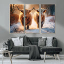 Scottish Highland Cow Horn Farm Wall Art Canvas Print