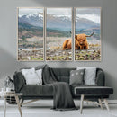 Highland Cow Horn Farm Wall Art Canvas Print
