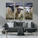 Charming Sheep Portrait Wall Art – Trio of Woolly Companions by MyGreatCanvas | Canvas Wall Art Prints | Photo Prints & Wall Decor