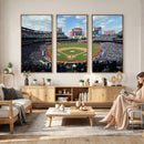 New York Mets Baseball Team Print - Citi Field Stadium Wall