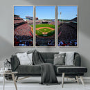 Cincinnati Reds Baseball Canvas Print - American Ball