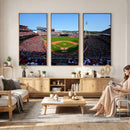 Cincinnati Reds Baseball Canvas Print - American Ball