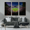 Houston Astros Baseball Print Canvas - Houston Minute Maid