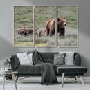 Wildlife Photography of 399 Grizzly Bear Cubs | Queen of the