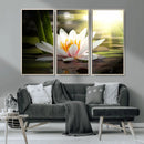 Lotus Flower Wall Art Canvas Print, Water Lily Large Wall
