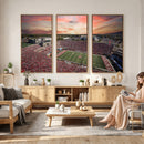 Indiana Memorial Stadium Wall Art Canvas Print, Framed