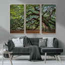 Historic Tree Wall Art – Framed Mossy Branch Canvas Artwork, by MyGreatCanvas | Canvas Wall Art Prints | Photo Prints & Wall Decor