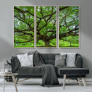 Ancient Tree Wall Art Canvas Print, Framed Sprawling by MyGreatCanvas | Canvas Wall Art Prints | Photo Prints & Wall Decor