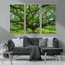 Oak Tree Wall Art Print, Forest Canvas Wall Art for Home and by MyGreatCanvas | Canvas Wall Art Prints | Photo Prints & Wall Decor
