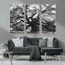 Ancient Oak Wall Art Canvas Print – Gnarled Tree Twisted by MyGreatCanvas | Canvas Wall Art Prints | Photo Prints & Wall Decor
