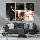 Texas Longhorn Wall Art Canvas Print – Framed Spotted Bull