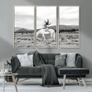 White Horse Wall Art Canvas Print – Framed Woman Rider
