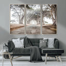 Cypress Tunnel Wall Art – Framed Misty Road Canvas Artwork, by MyGreatCanvas | Canvas Wall Art Prints | Photo Prints & Wall Decor