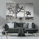 Joshua Tree Wall Art Canvas Print – Framed Monochrome Desert