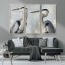 Bird Canvas Decor Wall Art Canvas Print – Framed Coastal