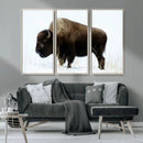 Bison Wall Art Canvas Print – Framed Western Wildlife by MyGreatCanvas | Canvas Wall Art Prints | Photo Prints & Wall Decor