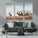 Elk Herd Wall Art Canvas Print – Framed Wildlife Photography