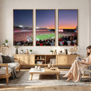 Dooley Stadium Wall Art, Sports Arena Canvas Print, Dooley