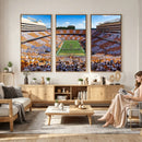 Tennessee Neyland Stadium Wall Art, Sports Arena Canvas by MyGreatCanvas | Canvas Wall Art Prints | Photo Prints & Wall Decor