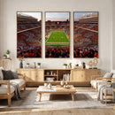 Tennessee Neyland Stadium Wall Art, Sports Arena Canvas by MyGreatCanvas | Canvas Wall Art Prints | Photo Prints & Wall Decor