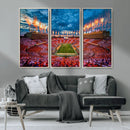 Tennessee Neyland Stadium Wall Art, Sports Arena Canvas by MyGreatCanvas | Canvas Wall Art Prints | Photo Prints & Wall Decor