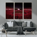 Dooley Stadium Wall Art, Sports Arena Canvas Print, Dooley by MyGreatCanvas | Canvas Wall Art Prints | Photo Prints & Wall Decor