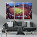 Dooley Stadium Wall Art, Sports Arena Canvas Print, Dooley by MyGreatCanvas | Canvas Wall Art Prints | Photo Prints & Wall Decor