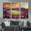 Dooley Stadium Wall Art, Sports Arena Canvas Print, Dooley by MyGreatCanvas | Canvas Wall Art Prints | Photo Prints & Wall Decor