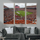 Jordan-Hare Stadium Wall Art Canvas Print, College Sports by MyGreatCanvas | Canvas Wall Art Prints | Photo Prints & Wall Decor