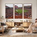 Jordan-Hare Stadium Wall Art Canvas Print, College Sports
