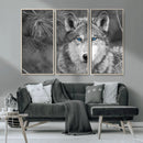 Wild Wolf Blue Eye Wall Art Canvas Print