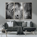 Wild Old Elephant Wall Art Canvas Print