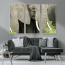 Wild Elephant Wall Art Canvas Print by MyGreatCanvas | Canvas Wall Art Prints | Photo Prints & Wall Decor