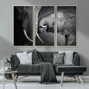 Elephant Family Wall Art Canvas, Framed Elephant Family by MyGreatCanvas | Canvas Wall Art Prints | Photo Prints & Wall Decor