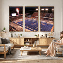 Boise State Stadium Large Wall Art Canvas Print for Living