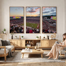 Donald W. Reynolds Razorback Stadium Wall Art Canvas Print –