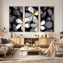 Plumeria Frangipani Black Stone Canvas | White Flower Spa by MyGreatCanvas | Canvas Wall Art Prints | Photo Prints & Wall Decor