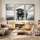 Texas Longhorn Canvas Wall Art Western Bull Desert Moody by MyGreatCanvas | Canvas Wall Art Prints | Photo Prints & Wall Decor