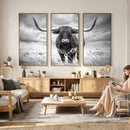Texas Longhorn Canvas Wall Art Western Bull Desert Moody by MyGreatCanvas | Canvas Wall Art Prints | Photo Prints & Wall Decor